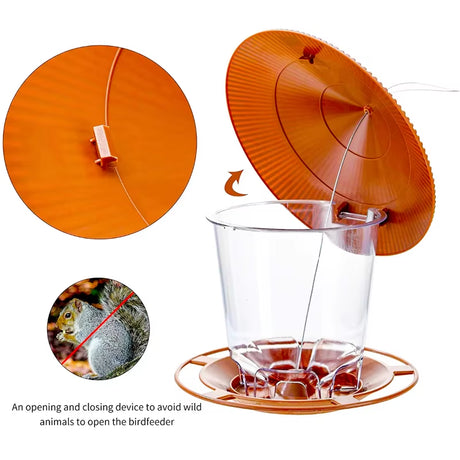 Attract Wild Birds to Your Garden with These Stunning Outdoor Bird Feeders!